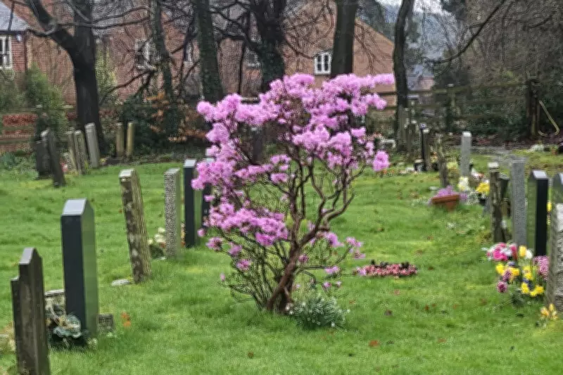 Alvechurch: Historic Village with St Laurence Church & Canalside Walks