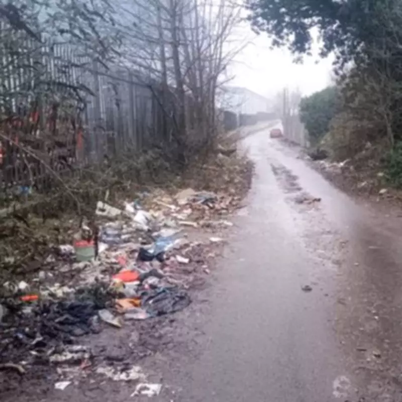 Birmingham Business Slams Council Over Fly-Tipping 'Hotspot' in Kings Norton