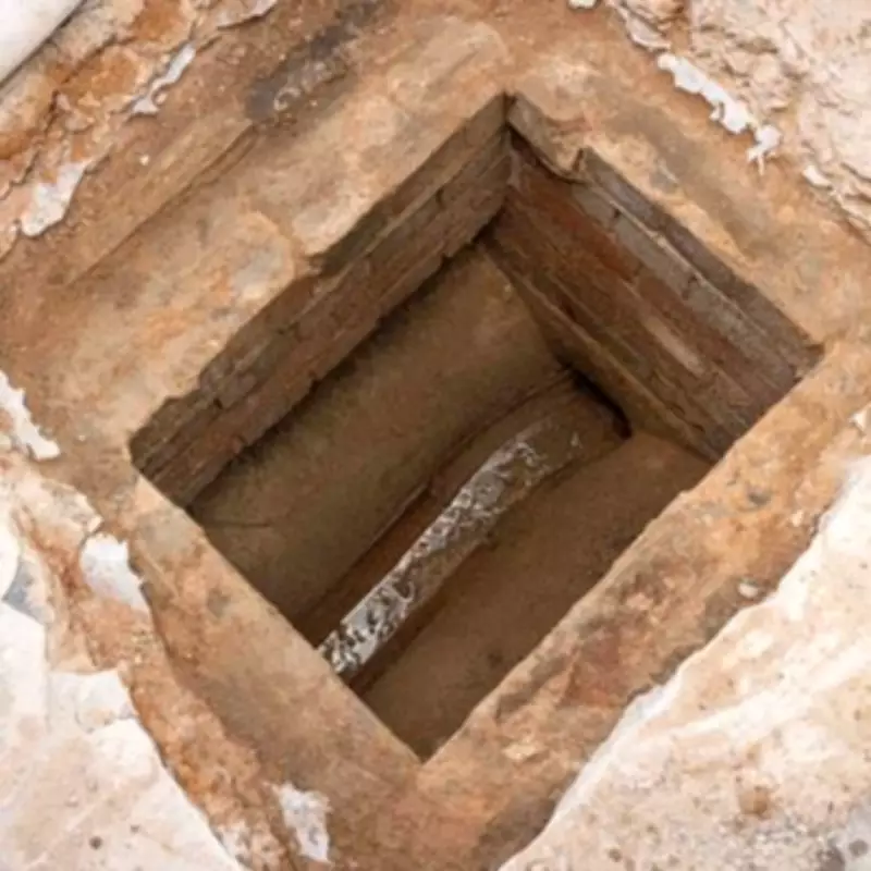 Birmingham Council Apologizes as Tenant Pays £1,200 for Rat-Infested Flat with Sewer in Bedroom