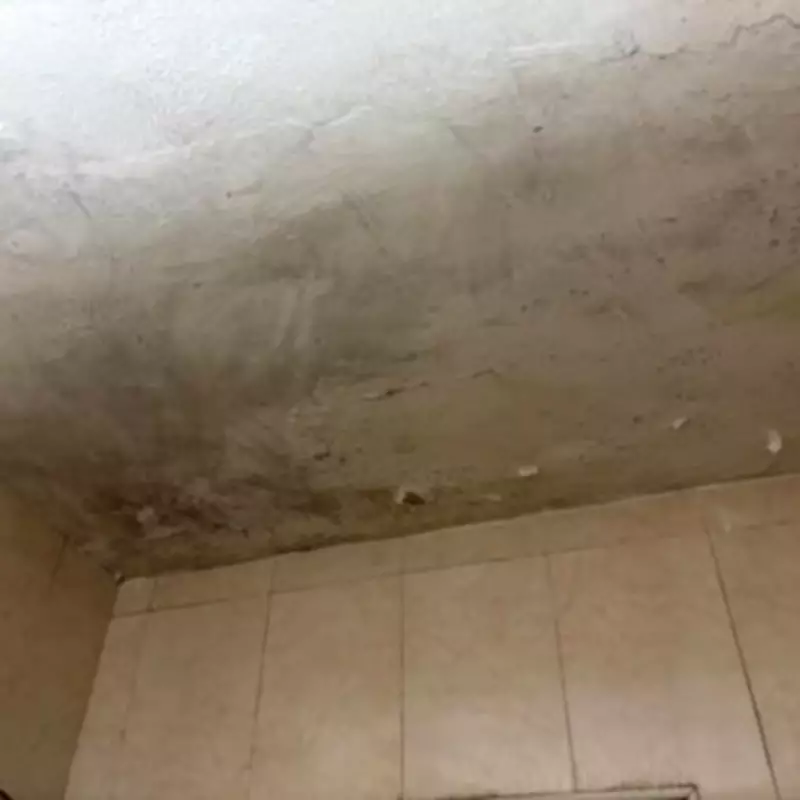 Birmingham Tourist Left Homeless at 2am After Fleeing Mouldy Holiday Apartment