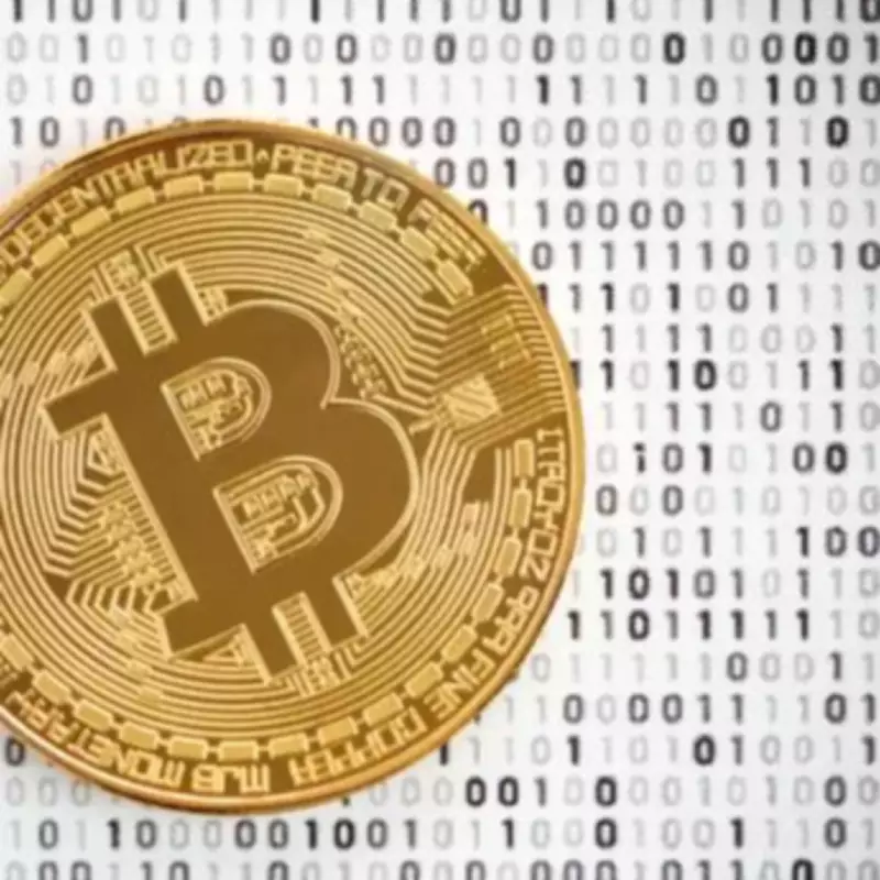 Bitcoin Plunges to 12-Month Low Amid Regulatory Shifts and ETF Outflows