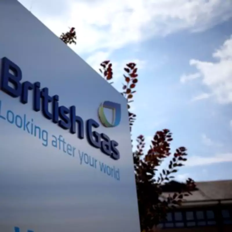 British Gas Profits Fall as Customers Switch to Fixed Energy Tariffs