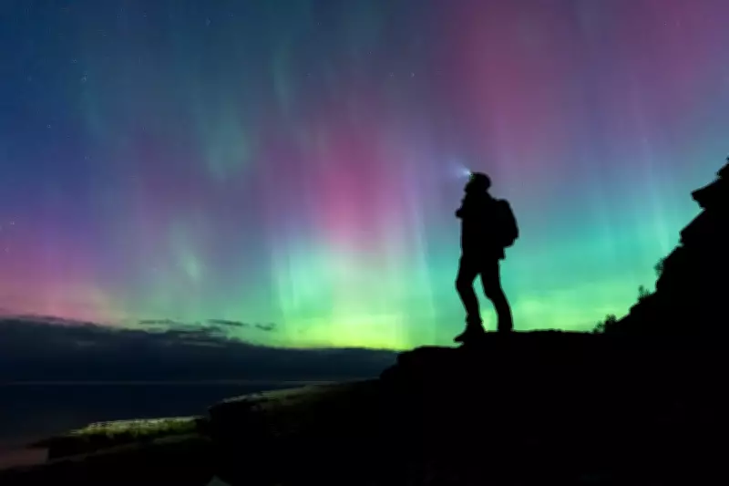 Brits Set Alarms for Nature in 2026 as Travelers Prioritize Rare Moments