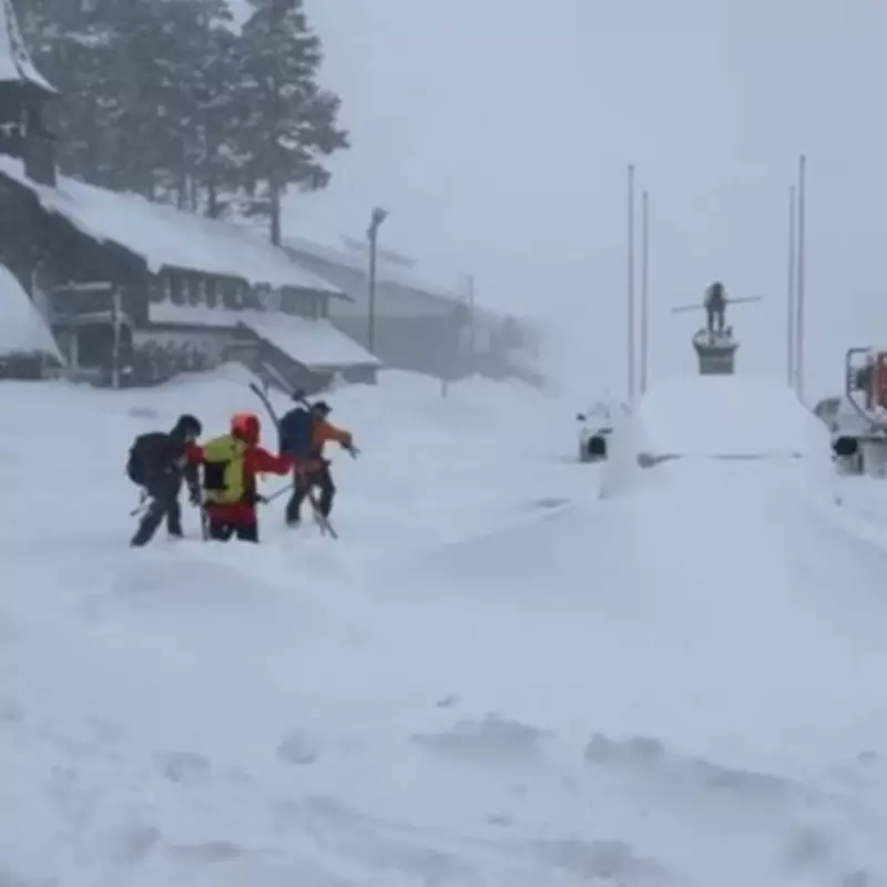 California Avalanche Tragedy: Eight Skiers Dead, One Missing in Sierra Nevada