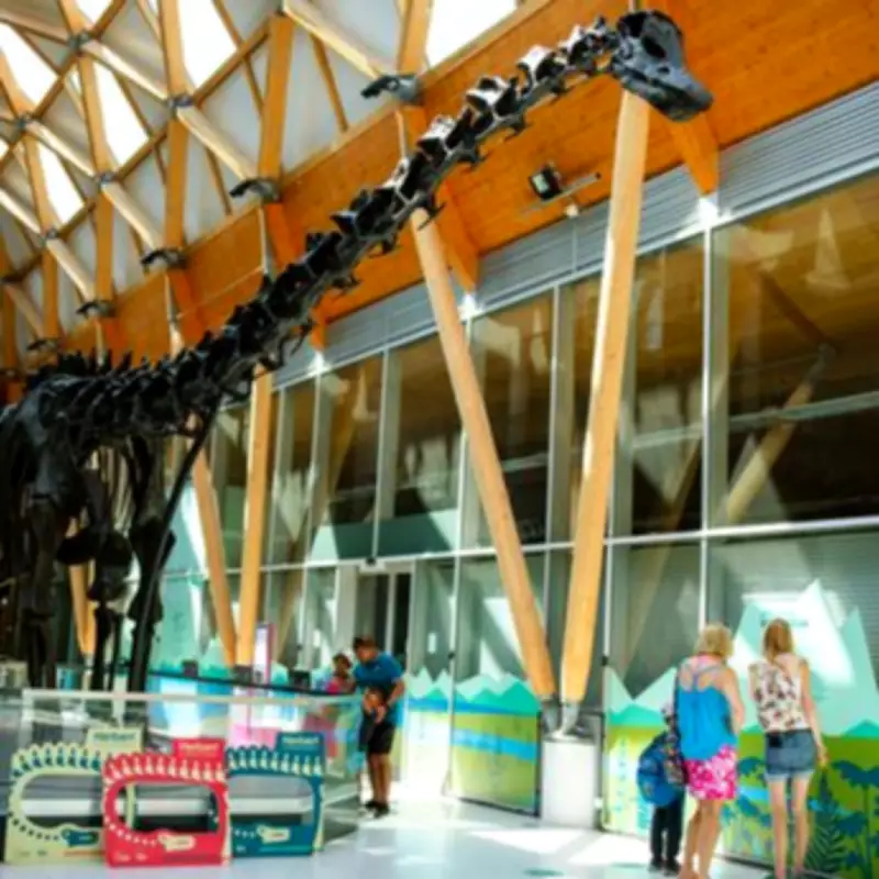 Dippy the Dinosaur Extends Coventry Stay After 500,000 Visitors
