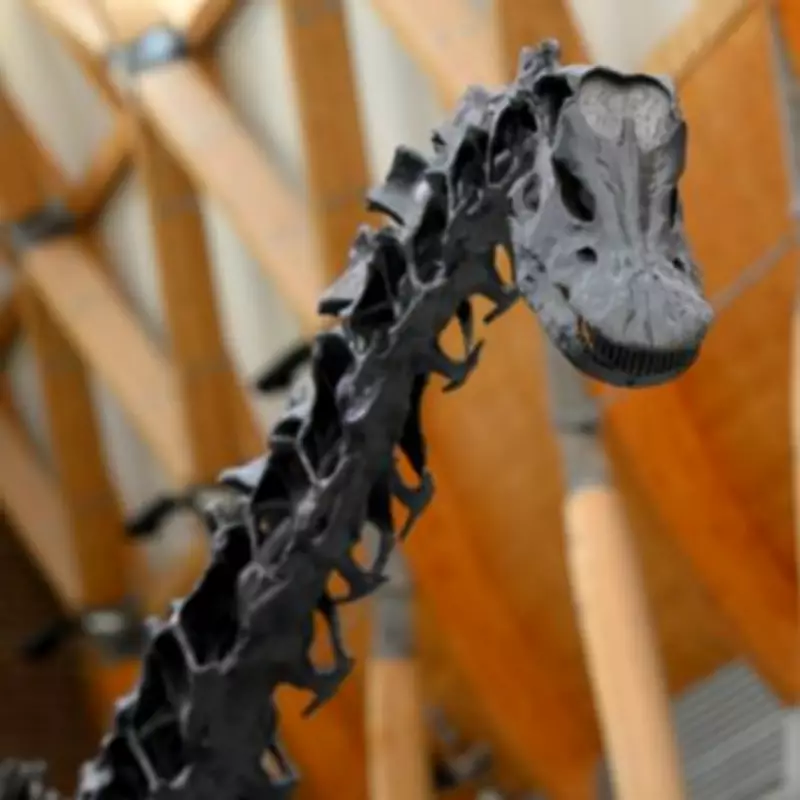 Dippy the Dinosaur's Coventry Stay Extended to 2027 at Herbert Art Gallery