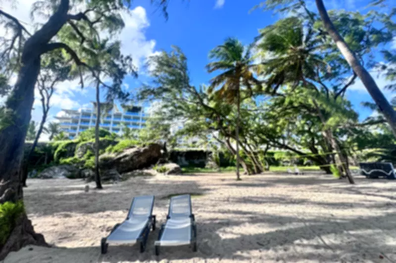 Discovering Barbados Beyond the Tourist Trail: A Local's Perspective