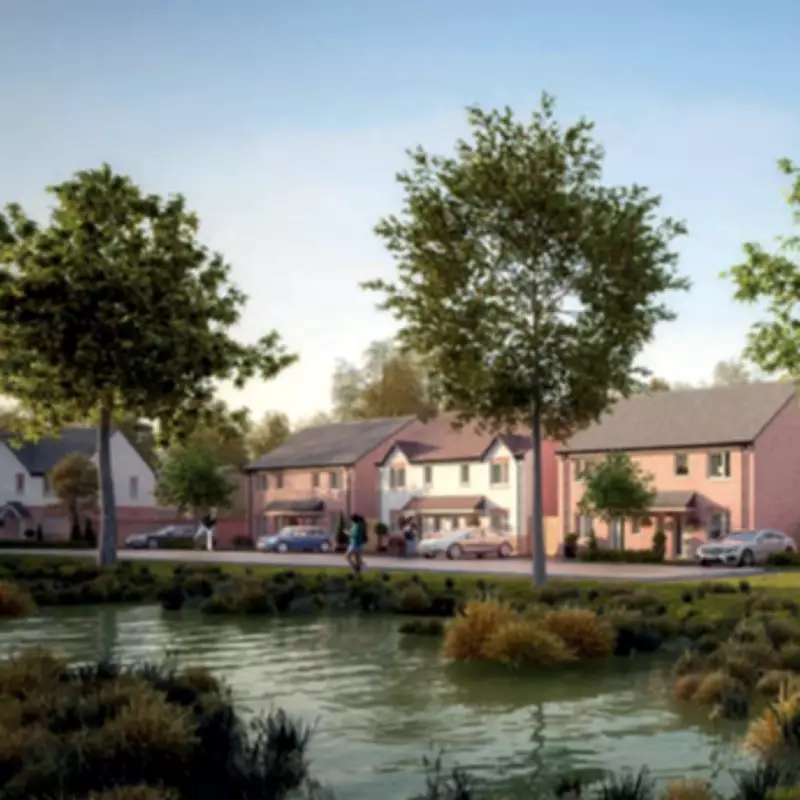 Druids Heath Regeneration Vision Unveiled Despite Planning Setback