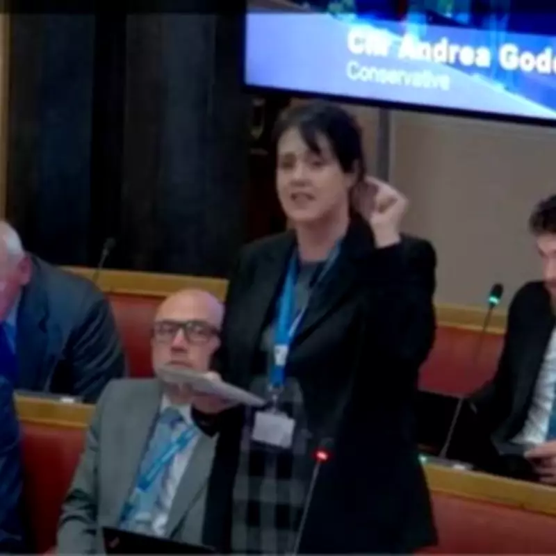 Dudley Council Budget Debate Descends Into Verbal Brawls and Barbed Humor