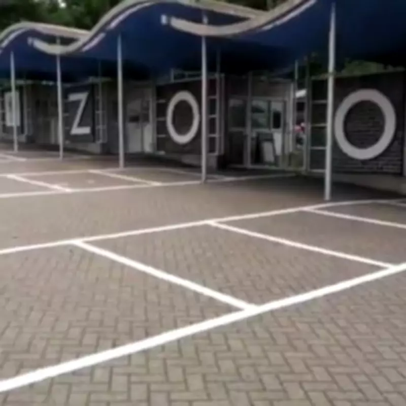 Dudley Zoo Offers £7 Entry for Benefit Recipients Throughout March