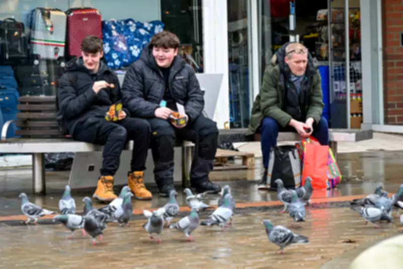 Dudley's High Street Crisis: 40 Empty Shops and Pigeon Infestation Plague Former Market Town