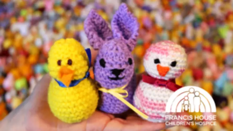 Easter Chick Appeal: Knitters Wanted for Manchester Hospice Fundraiser