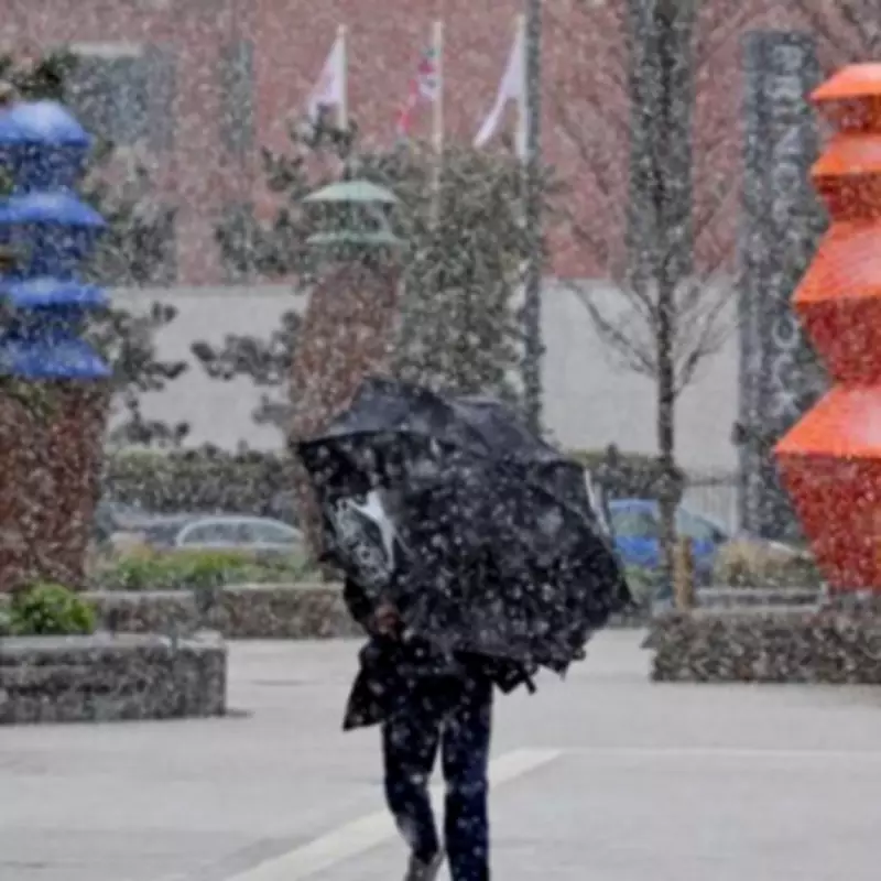 England Braces for 48-Hour Snow Blitz: 16 Counties on Alert