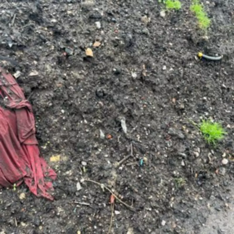 Environment Agency Orders Walsall Council to Remove Waste from Arboretum