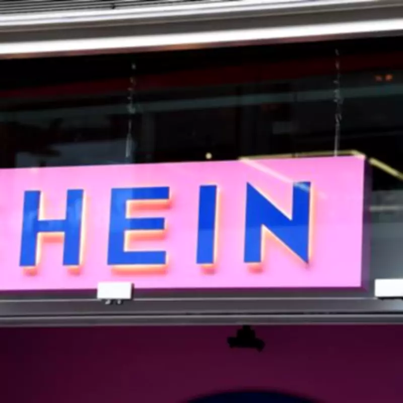 EU Launches Formal Investigation Into Shein Over Childlike Sex Dolls and Weapons Sales