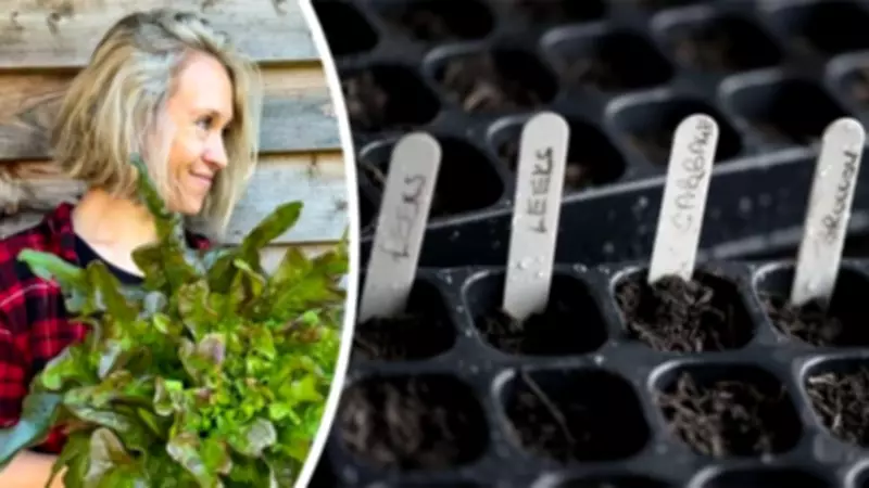 Expert Reveals How to Achieve a Year-Round Harvest from Your Allotment