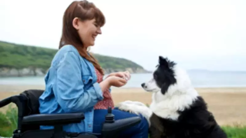 Expert Reveals How to Make Your Dog Return Every Time You Call