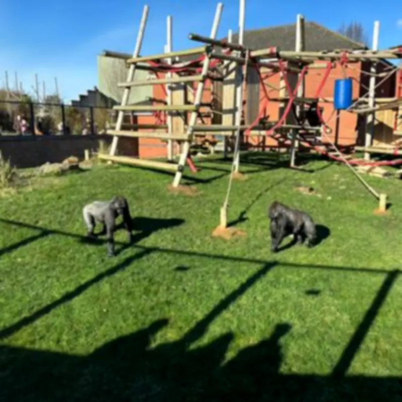 Family's Delightful Day at Twycross Zoo, Just 30 Minutes from Birmingham