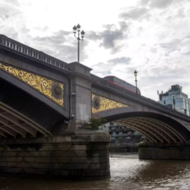 Father Avoids Jail After Drunkenly Throwing Daughter's Kittens into River Thames