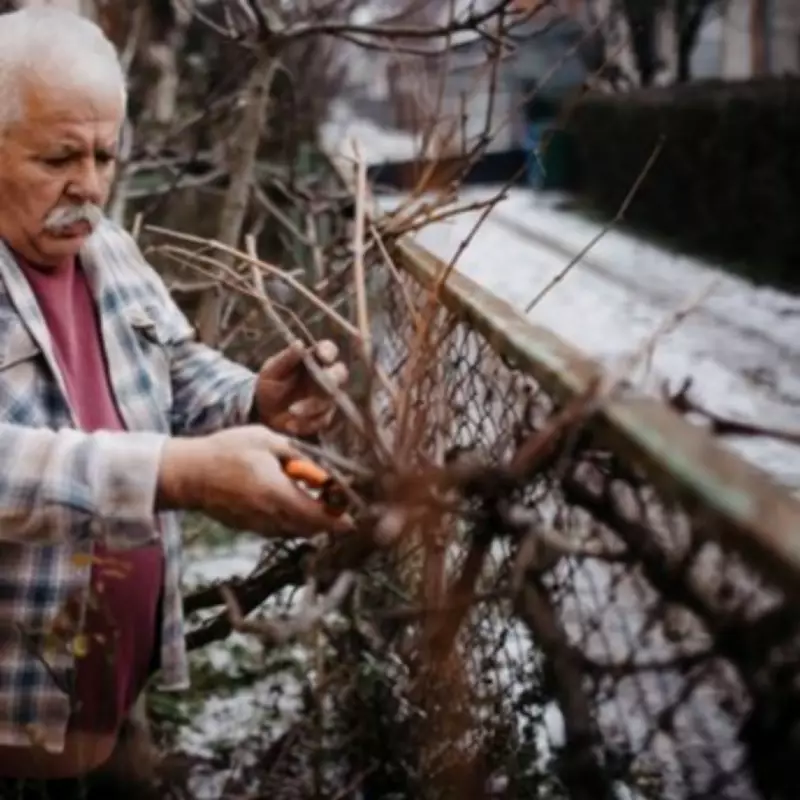 Four Essential February Gardening Tasks to Transform Your Outdoor Space