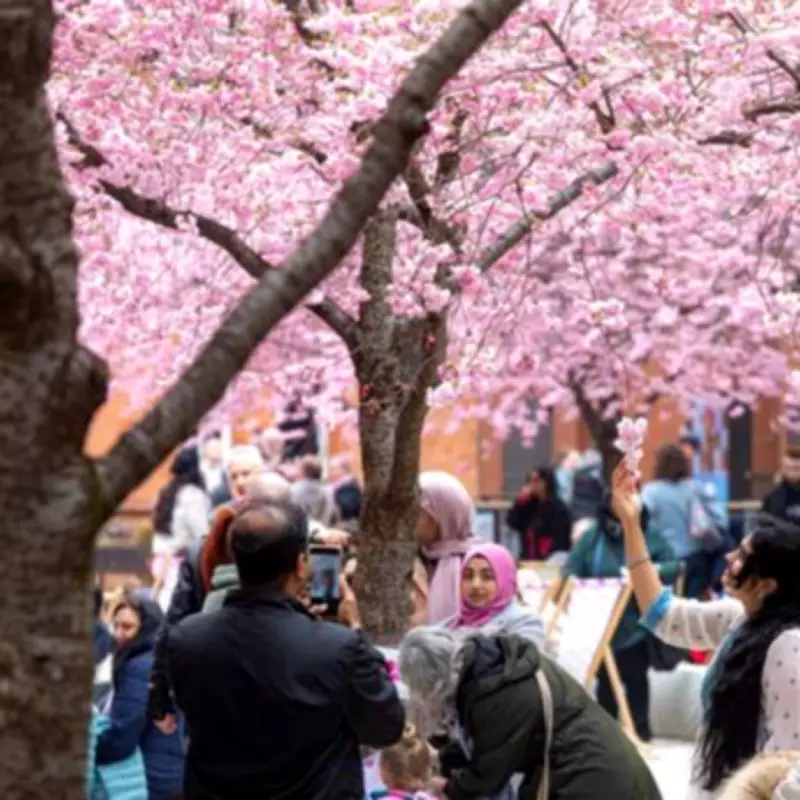 Free Japanese-Style Cherry Blossom Festival Returns to Birmingham City Centre
