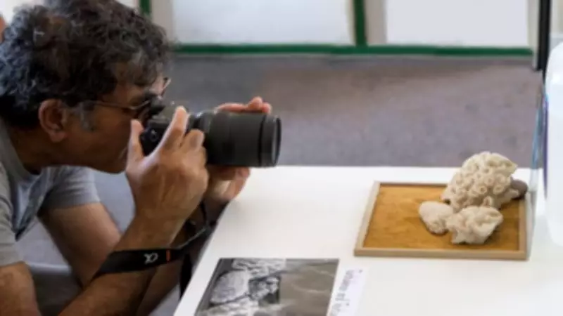 Guildford u3a Photography Group Exhibition Opens at Art & Grind Cafe