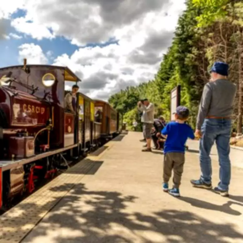 Half Term Savings: Get 25% Off Family Fun at Tamworth's Statfold Country Park