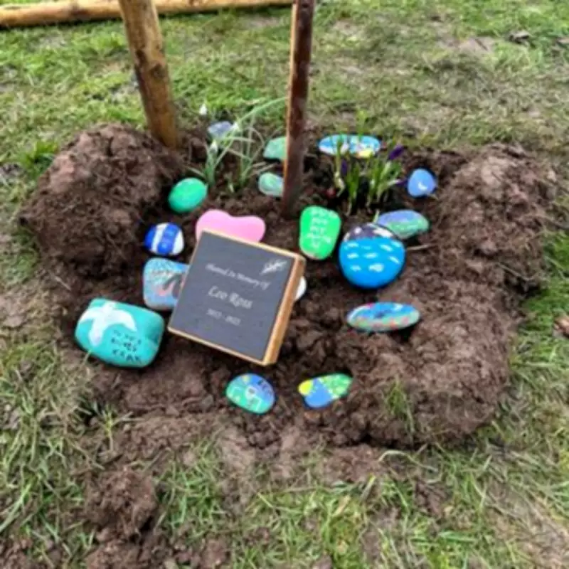 Heartbreaking Messages Left at Tree Planted in Memory of Leo Ross in Trittiford Park