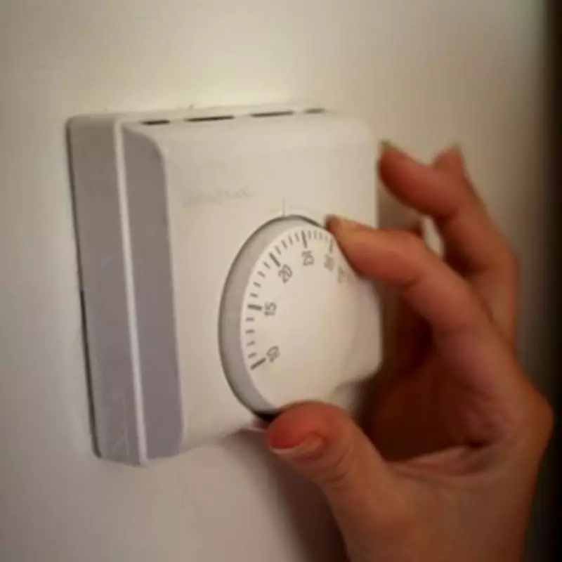 Heating Experts Reveal Ideal Thermostat Temperature to Save £145 Annually