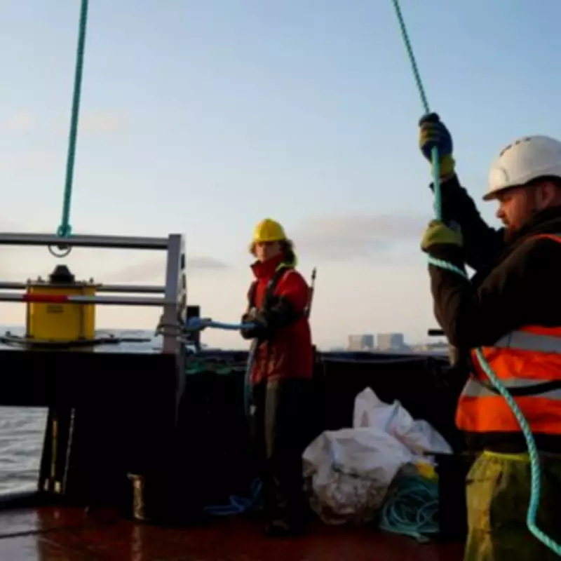 Hinkley Point C's 'Fish Disco' Proves Highly Effective in Protecting Marine Life