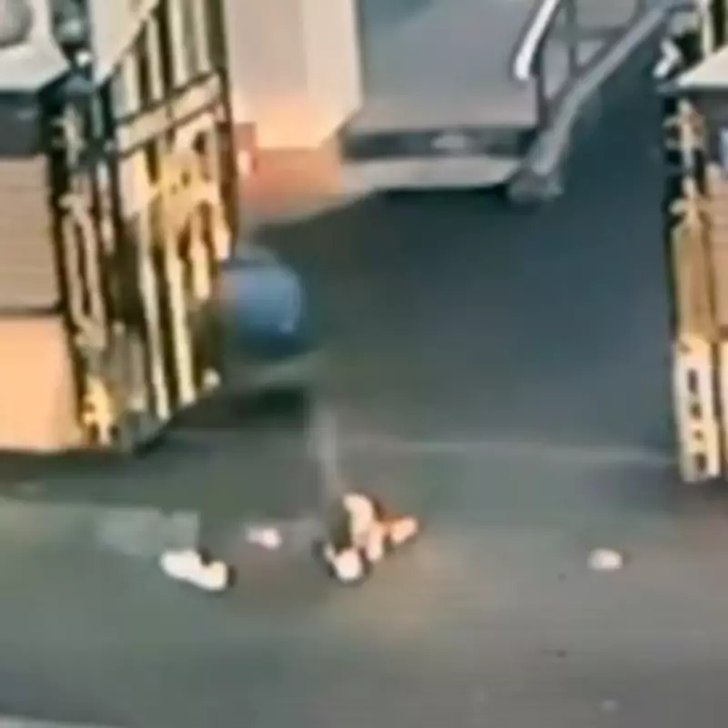 Illegal Immigrant Avoids Jail for Racist Pork Attack on West Bromwich Gurdwara