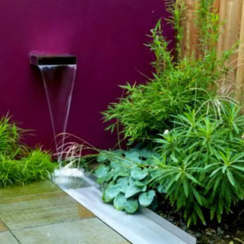 Invasive Bamboo Threatens UK House Prices as Destructive as Knotweed