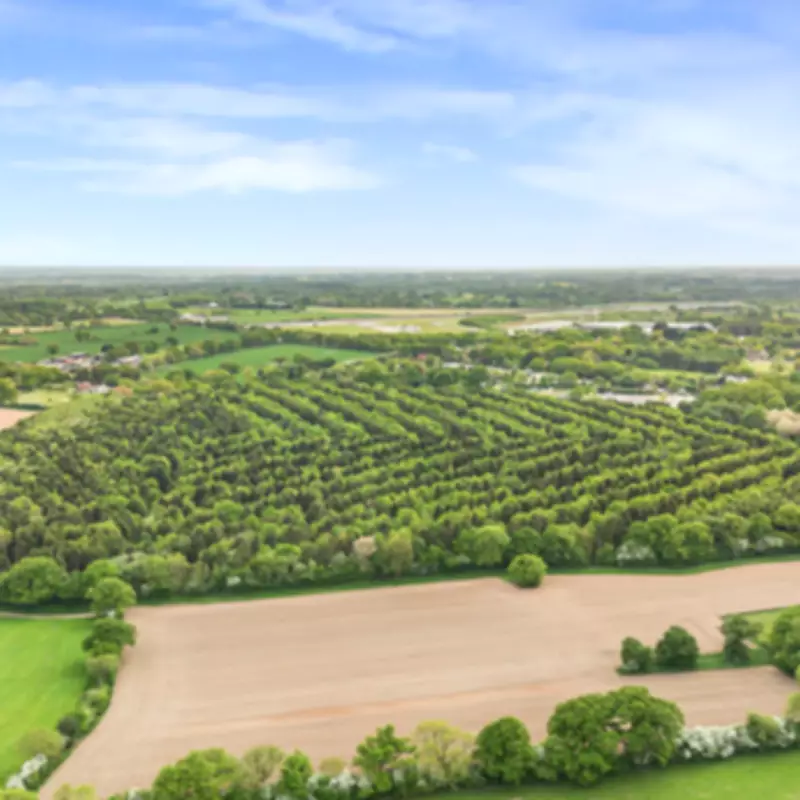 James Bond-Style Hideaway Opportunity in Warwickshire Woodland Near Birmingham