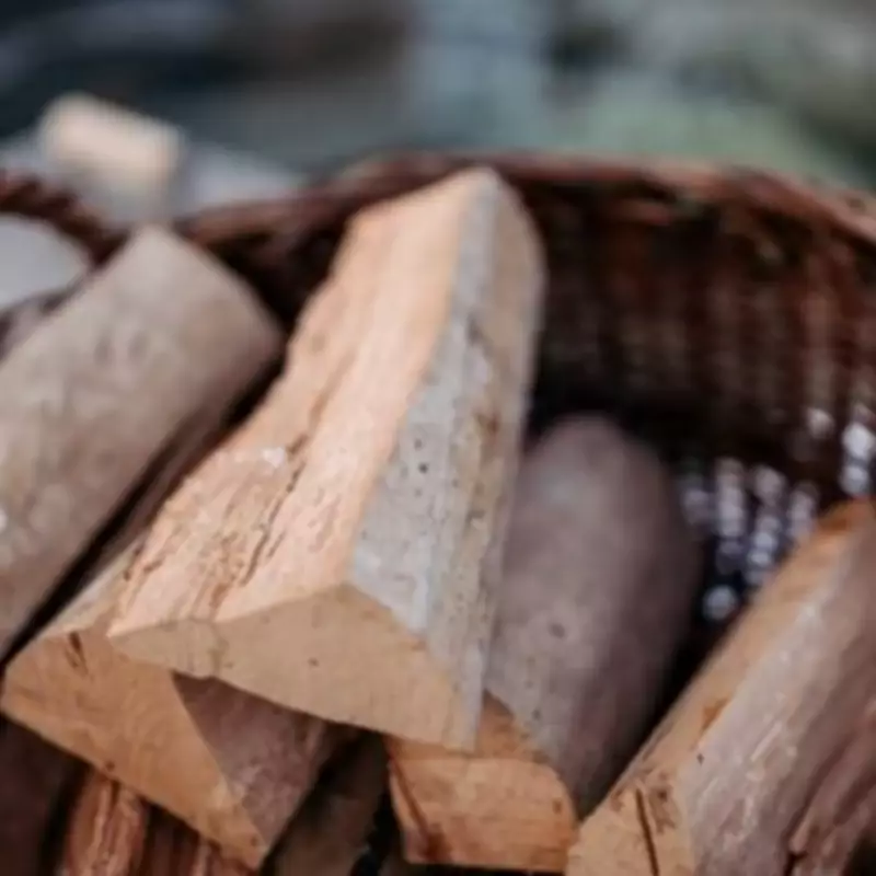 Labour Faces Calls to Ban Log Burners in England Following Health Report