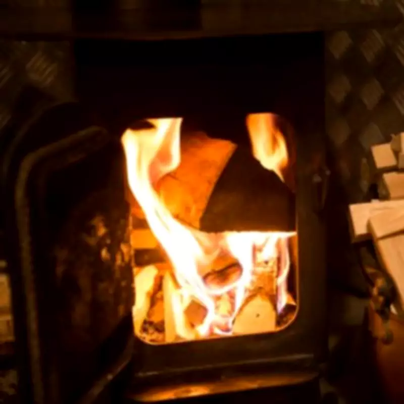 Labour Proposes Three New Wood Burner Regulations Following Child Pollution Study