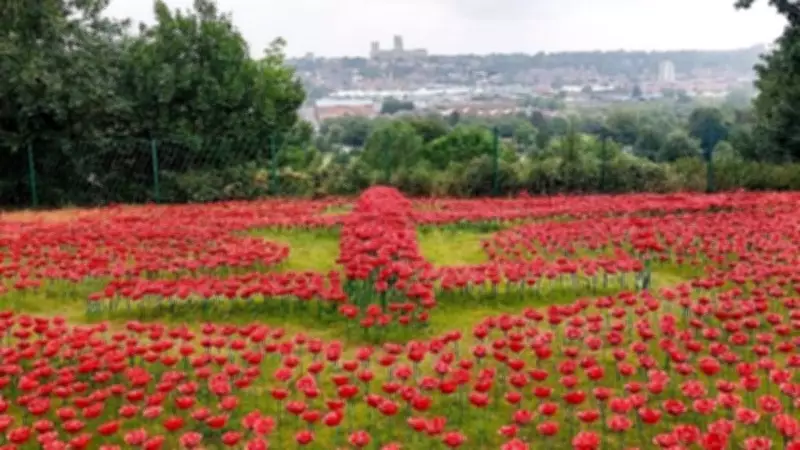Lancaster Bomber Poppy Photo Wins Lincolnshire Photography Competition