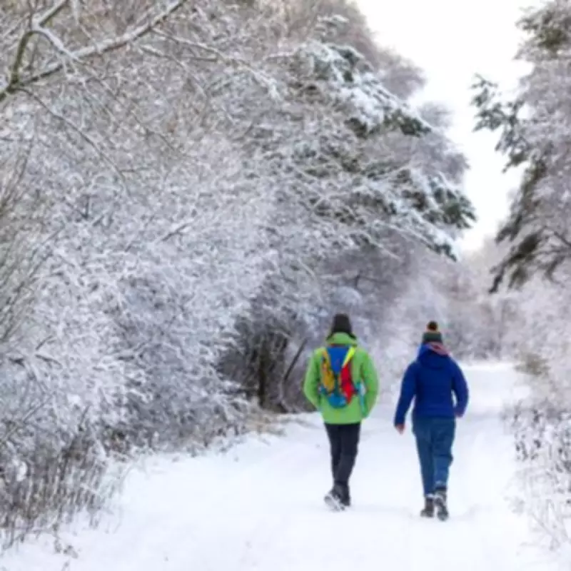Major 'Beast from the East' Blizzard Forecast to Hit UK with Snow Next Week