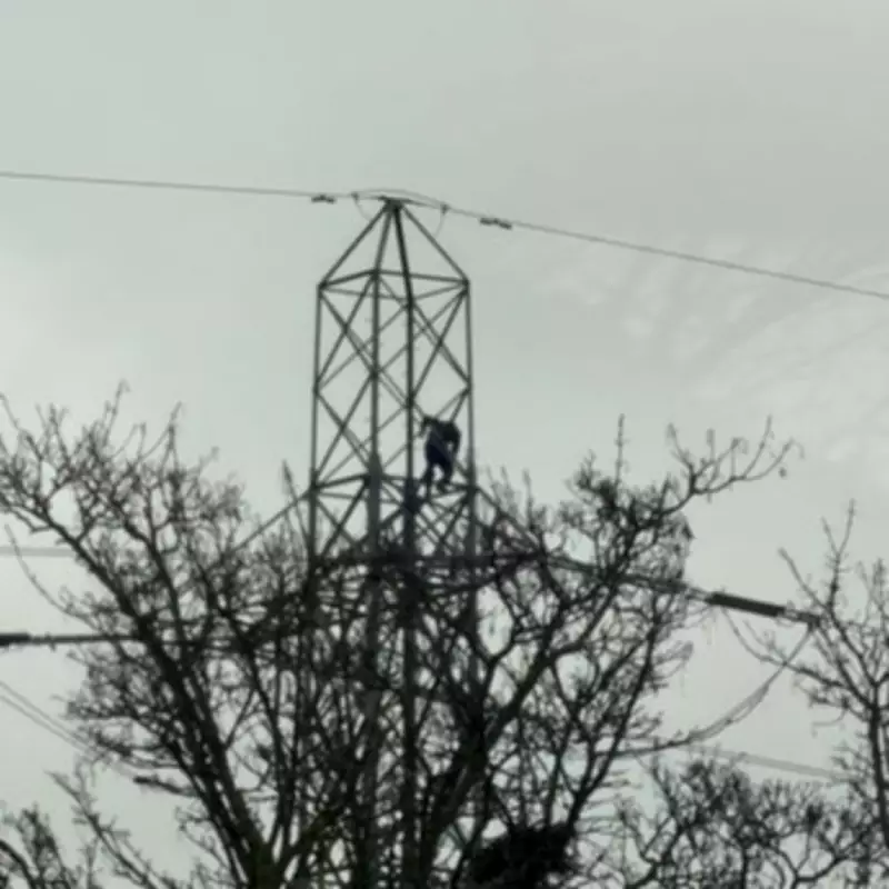 Mass Power Cuts in Brighouse After Distressed Man Climbs High-Voltage Pylon