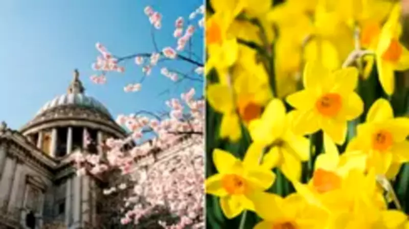 Met Office Forecasts Warmer Than Average Temperatures for March 2026