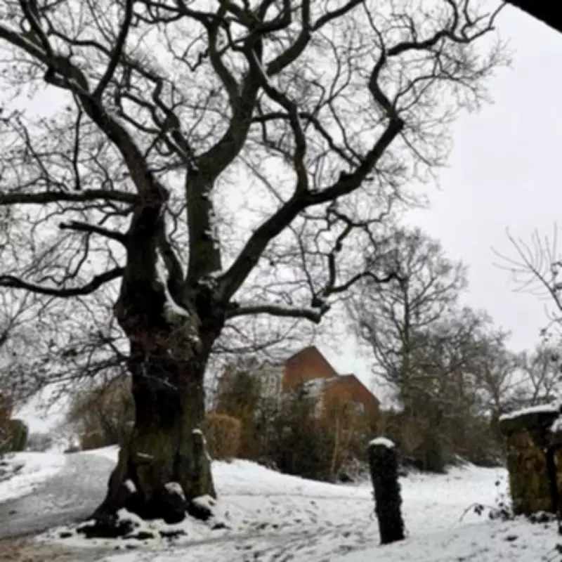 Met Office Issues 14-Hour Snow Warning for 7 Midlands Areas This Week