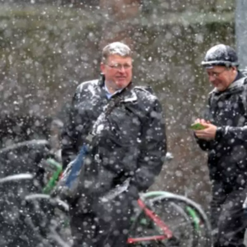 Met Office Issues New Snow Warnings for 56 Areas as Arctic Blast Hits UK