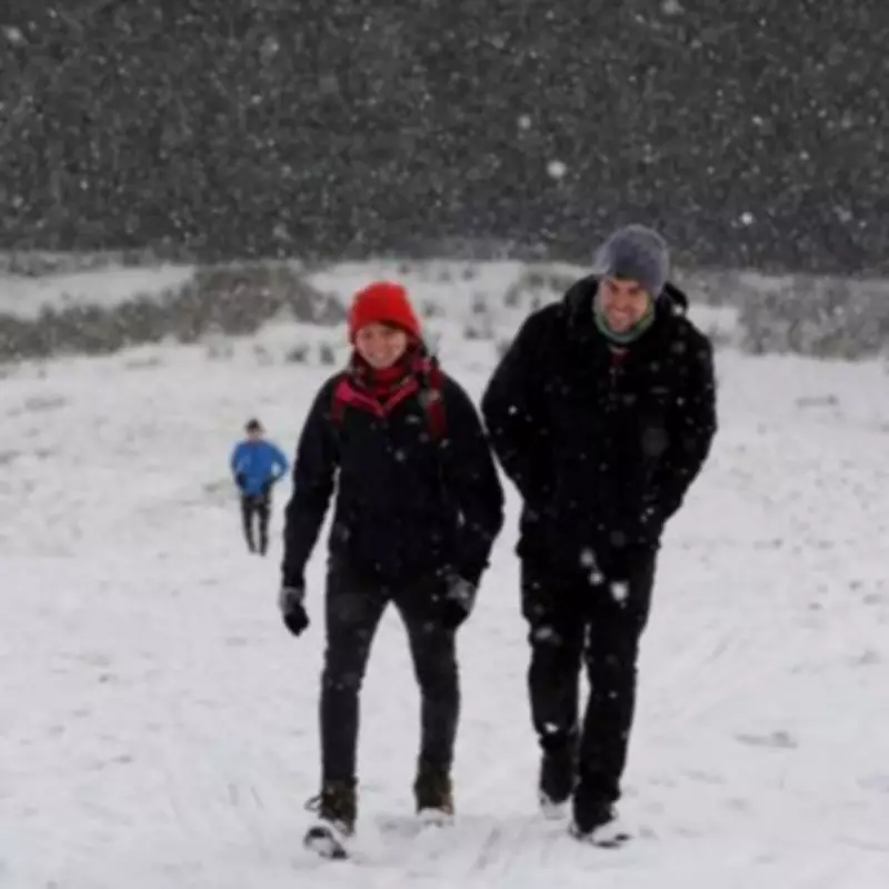 Met Office Issues 'Widespread Snow' Alert for UK Regions Starting Sunday