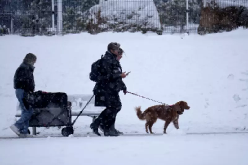 Met Office Issues Yellow Ice Warning for West Midlands This Week
