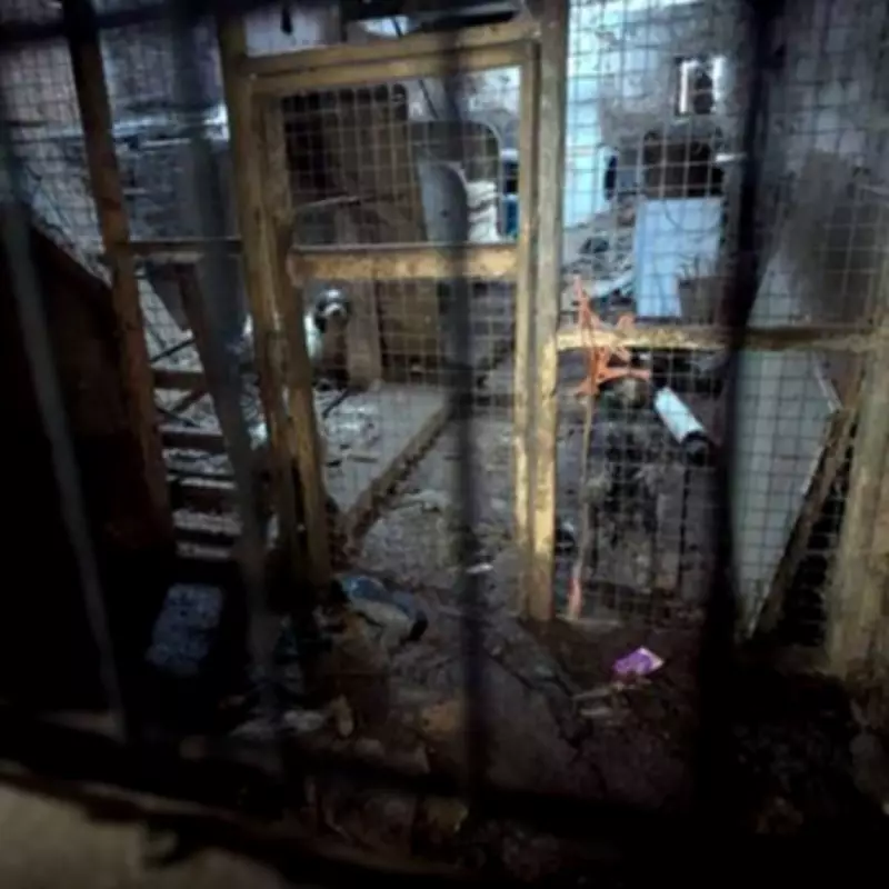 Mother and Daughter Convicted for Horrific Neglect of 43 Horses and Dogs