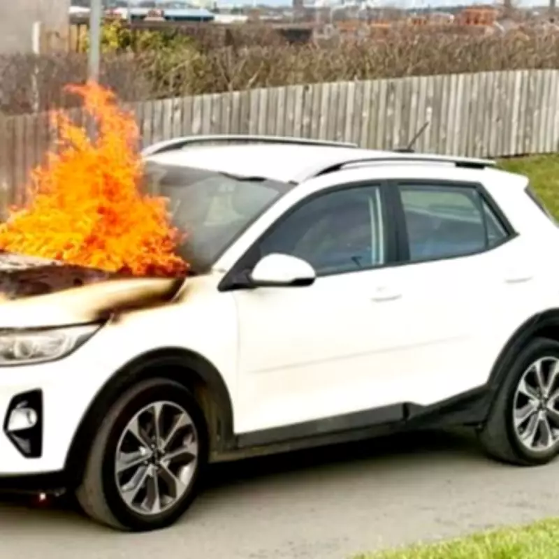 New £9,000 Kia Bursts into Flames with Puppy Inside Just 12 Days After Purchase