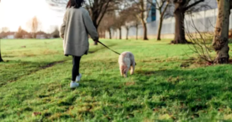 New Dog Law in England from March 18: £1,000 Fines for Livestock Disturbance