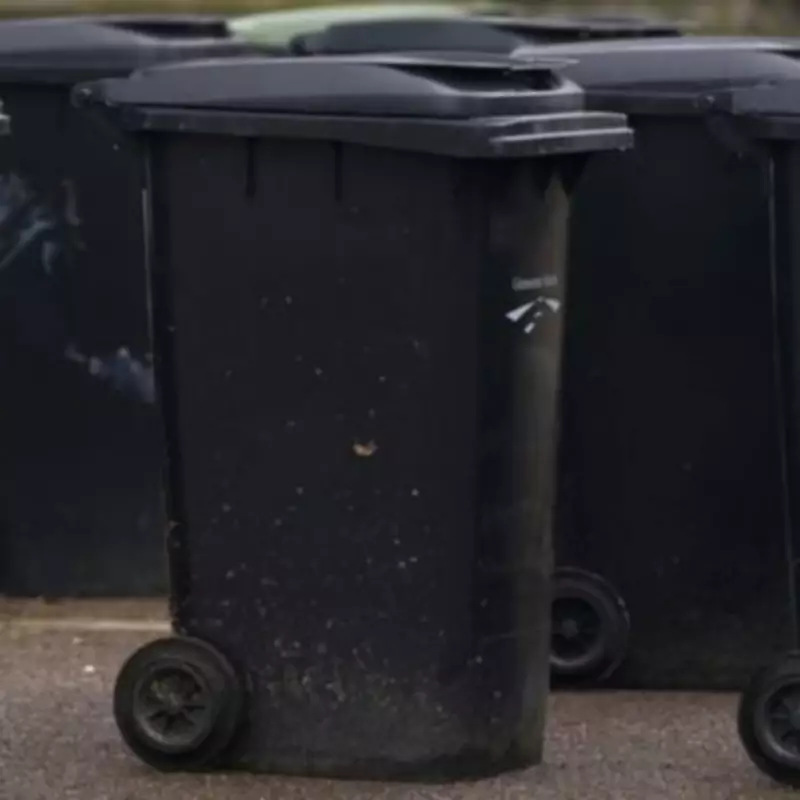 New National Bin Collection Rules Start March 31: Households Receive Extra Bins