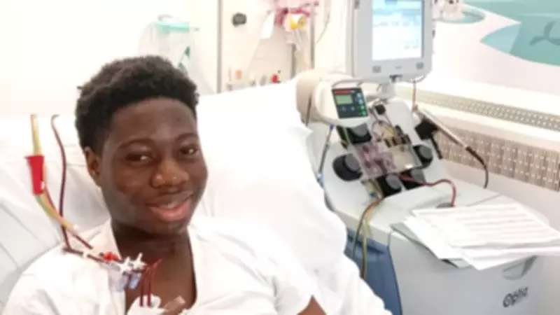New Sickle Cell Transfusion Service Launches at Basildon Hospital
