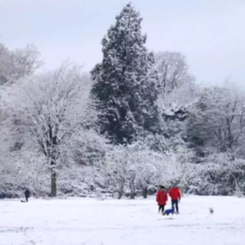New Snow Maps Forecast Up to 4 Inches for Birmingham, Confirming Wintry Disruption