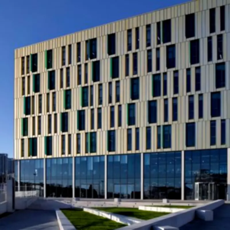 Newcastle Skin Health Firm's Shares Plunge 70% Amid CEO Conduct Probe